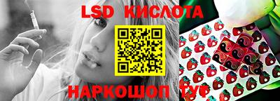 мдпв Камышлов