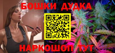 мдпв Камышлов