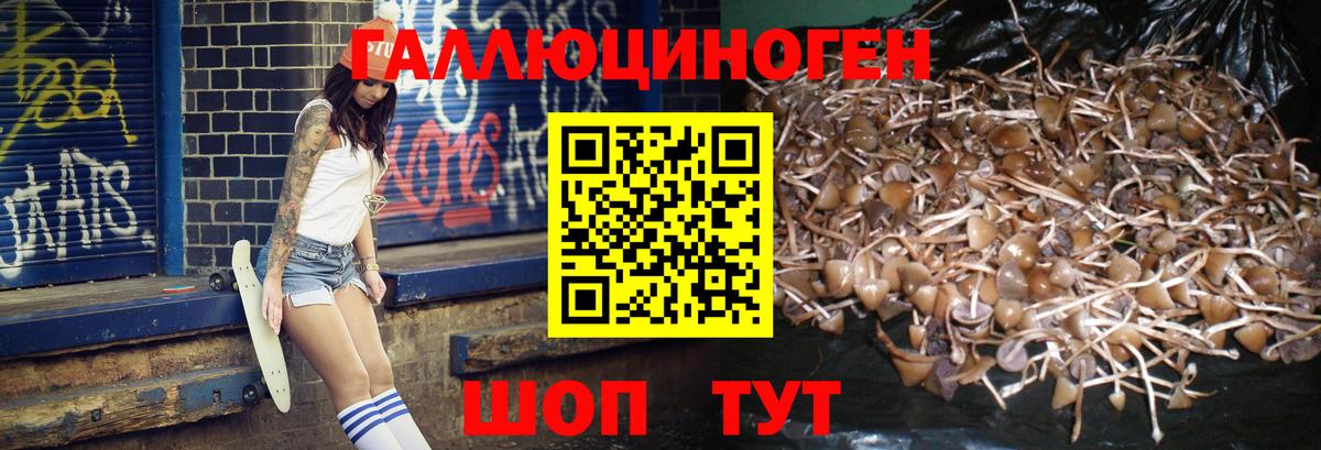 Галлюциногенные грибы GOLDEN TEACHER  Вход с VPN  Псилоцибиновые грибы ЛСД  Оренбург 