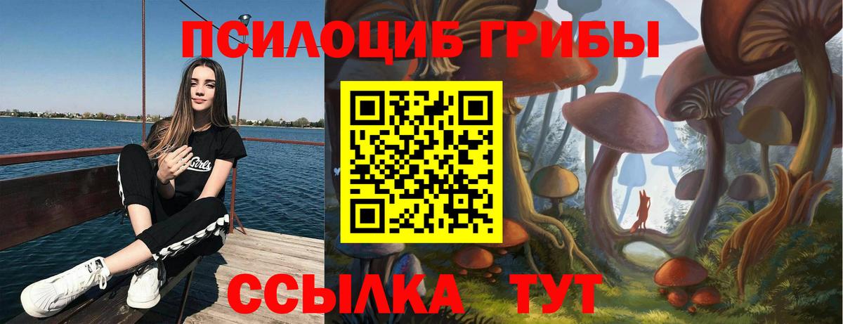 Галлюциногенные грибы прущие грибы Оренбург